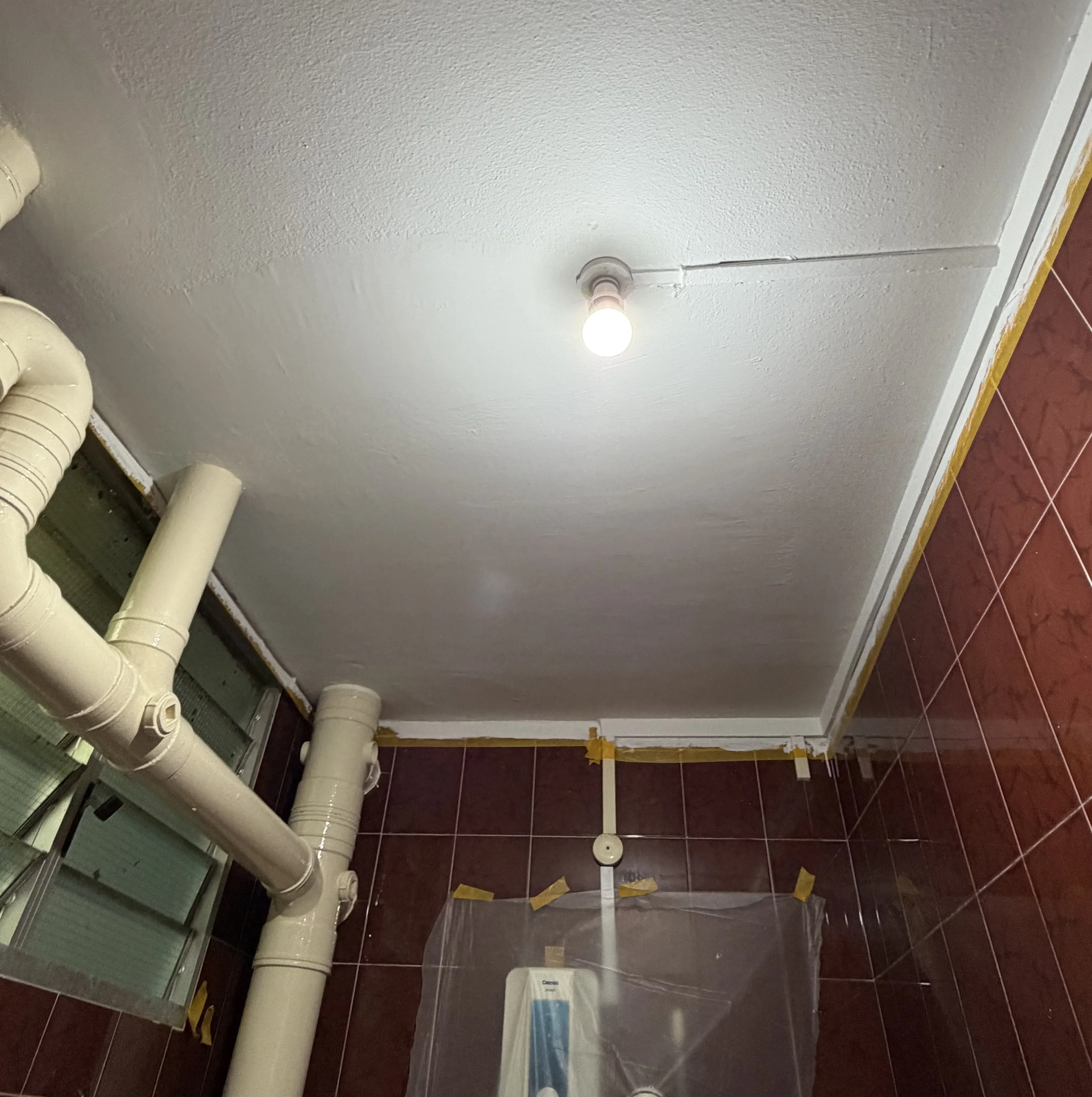 Toilet Scrap Repaint